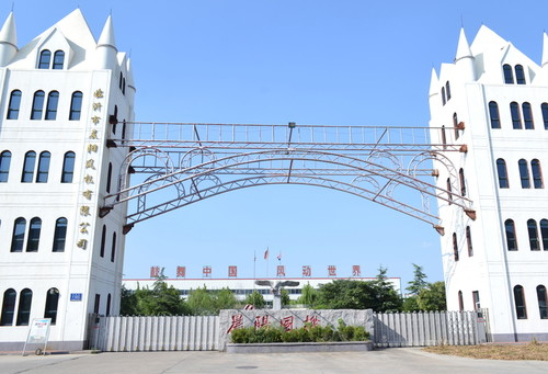 康健水文：解锁植物油多样化的康健密码:植物油