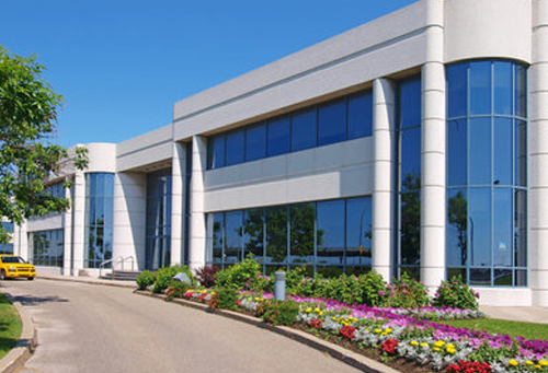 重庆植物油燃料燃烧有异味吗？:植物油